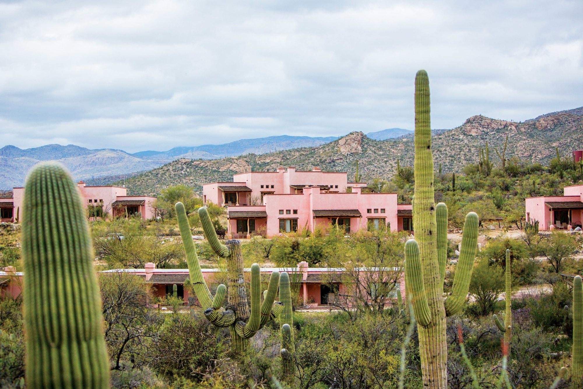 Tanque Verde Guest Ranch Villa Tucson Eksteriør billede