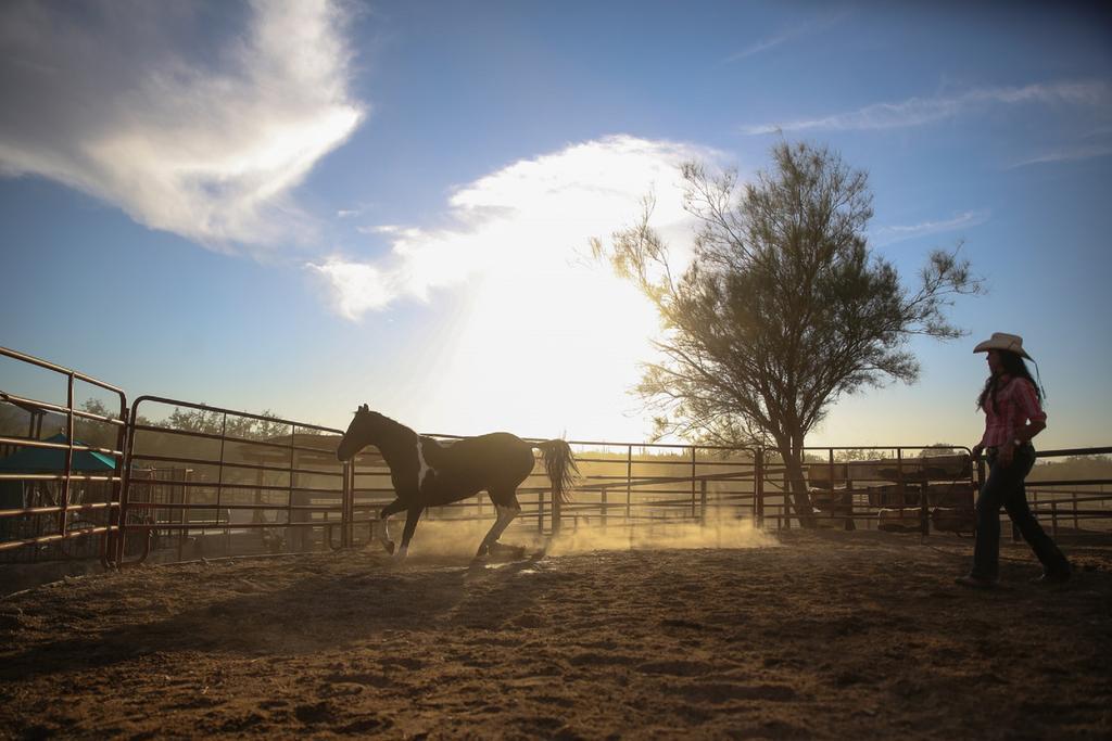 Tanque Verde Guest Ranch Villa Tucson Eksteriør billede