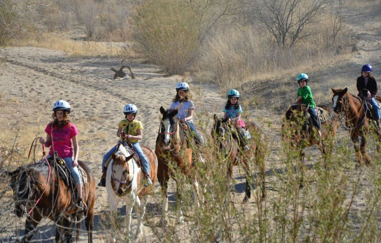 Tanque Verde Guest Ranch Villa Tucson Eksteriør billede